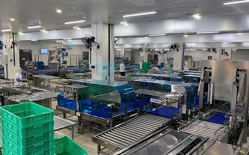 Vegetable storage and distribution equipment